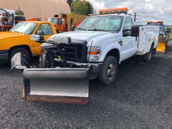 November NetAuction: Edition 2