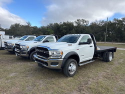 Bushnell, Florida 2025 DAY 9  (ONSITE- LIVE)